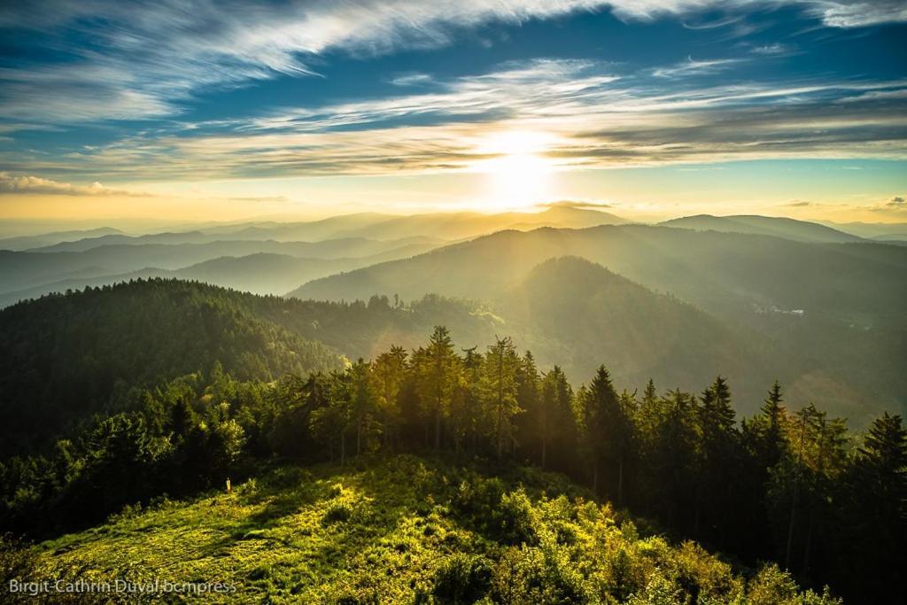 Schwarzwald-Traum Mit Pool Und Sauna Unterkirnach Eksteriør bilde