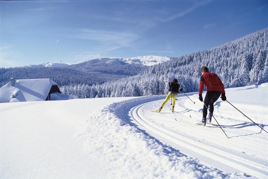 Schwarzwald-Traum Mit Pool Und Sauna Unterkirnach Eksteriør bilde