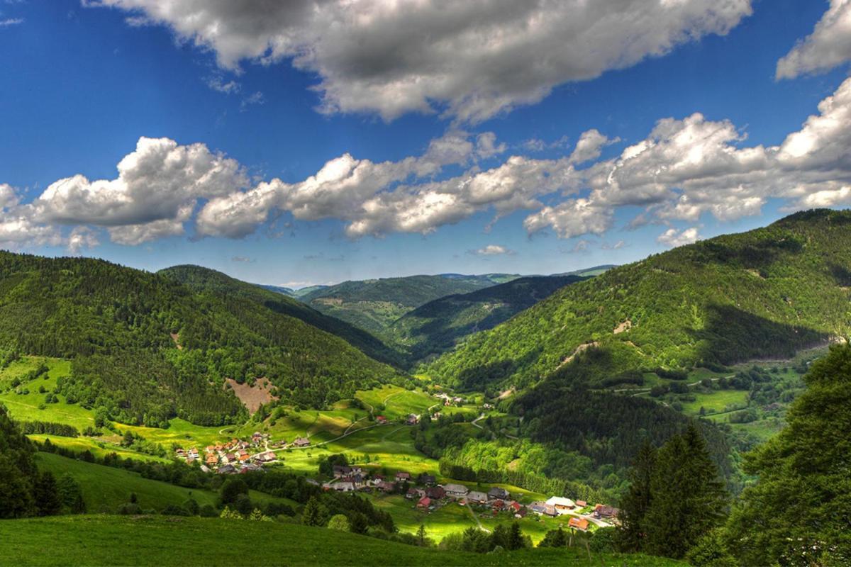 Schwarzwald-Traum Mit Pool Und Sauna Unterkirnach Eksteriør bilde