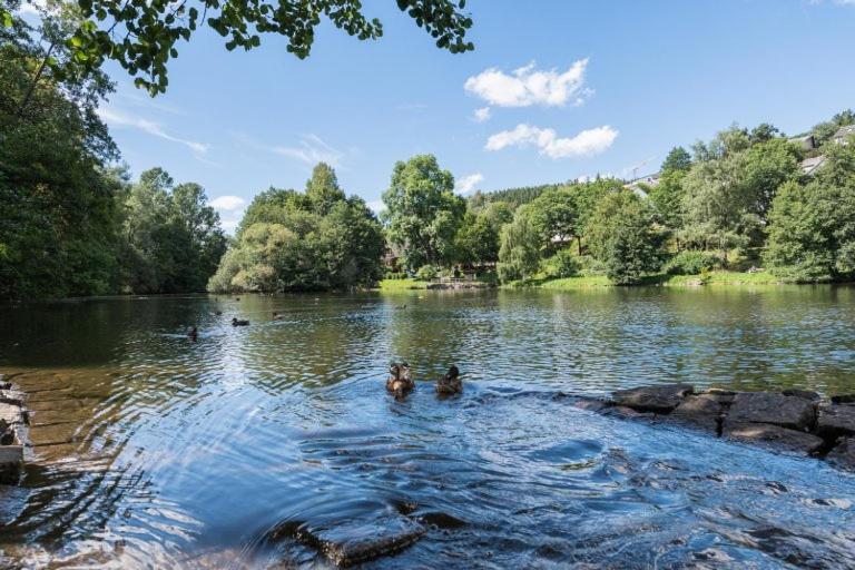 Schwarzwald-Traum Mit Pool Und Sauna Unterkirnach Eksteriør bilde